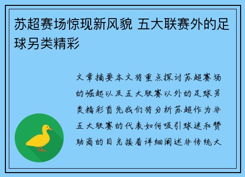 苏超赛场惊现新风貌 五大联赛外的足球另类精彩